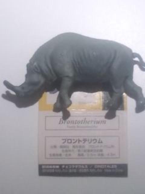 ugeE/`RUEXDINOTALES/Cm/UHAo   zr[ 