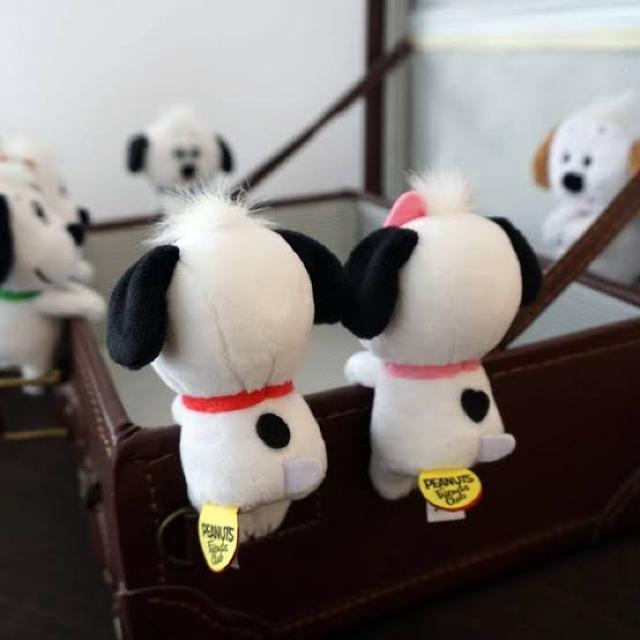 sNewtXk[s[/ps[Y肳E}XRbg*ʂ   