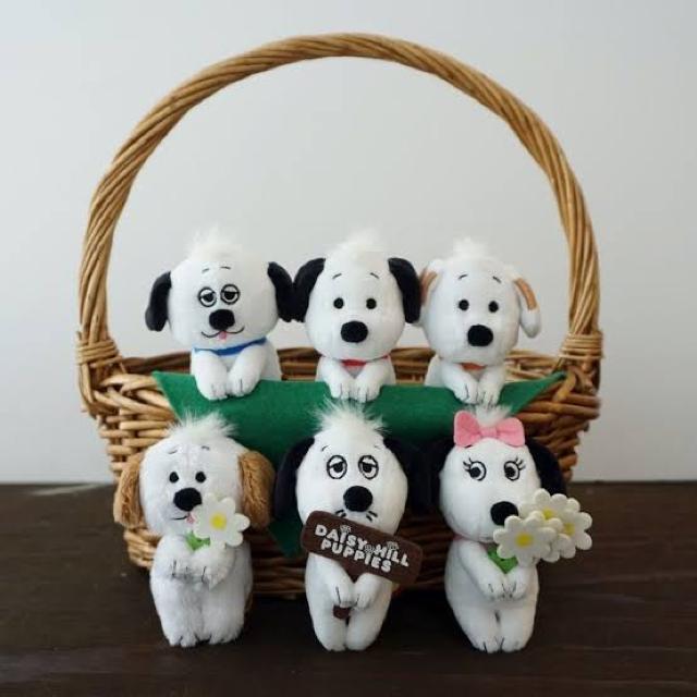 sNewtXk[s[/ps[Y肳E}XRbg*ʂ   