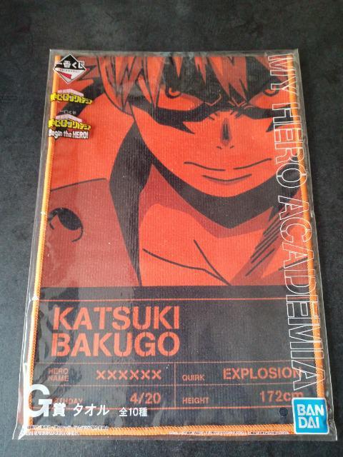 �l�̃q�[���[�A�J�f�~�A�@�����@�^�I�� 