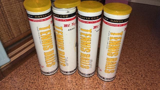 P{ɃejX{[4AMt. Fuji@4   W[/X|[c 