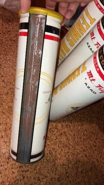 P{ɃejX{[4AMt. Fuji@4  W[/X|[c 