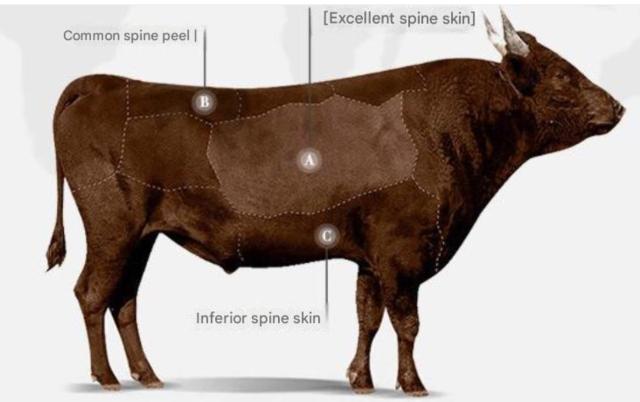 v  rWlXV[Y Y amC vC ubN  jt@bV 