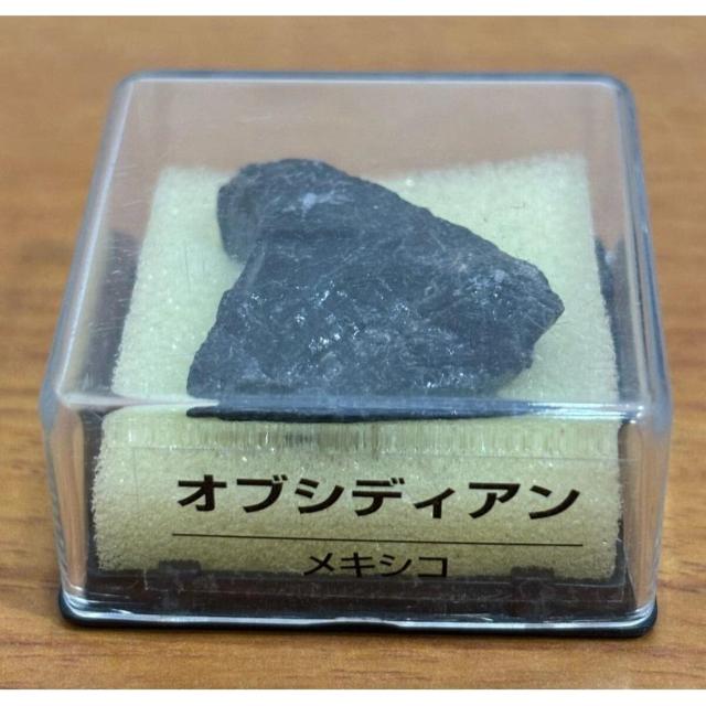 yzfBASXeB[j gW[Xg[ IuVfBA LVR zW{̂ qȂ   zr[ 