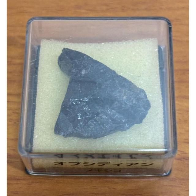 yzfBASXeB[j gW[Xg[ IuVfBA LVR zW{̂ qȂ  zr[ 