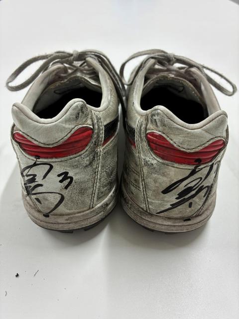 DF 3 { I gpEMTCg[jOV[YiV[YP[Xtj  W[/X|[c 