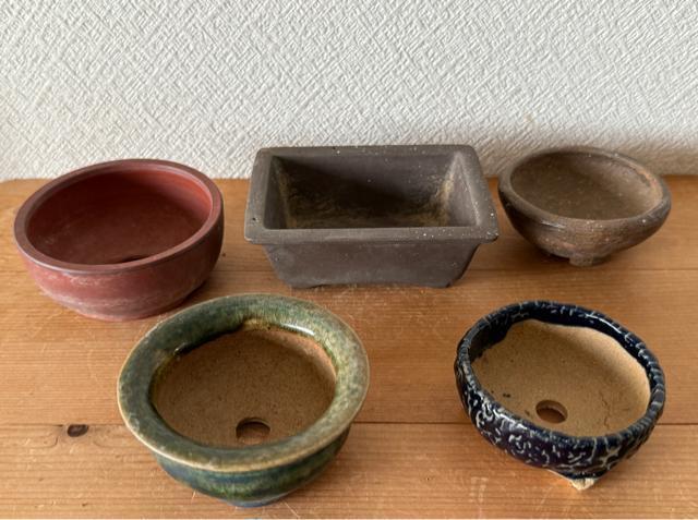 N 盆栽鉢 豆盆栽鉢 山野草鉢 多肉植物鉢 植木鉢 5鉢セット陶器製 落款印あり < ペット/手芸/園芸 N 盆栽鉢 豆盆栽鉢 山野草鉢 多肉植物鉢 植木鉢 5鉢セット陶器製 落款印あり < ペット/手芸/園芸の
