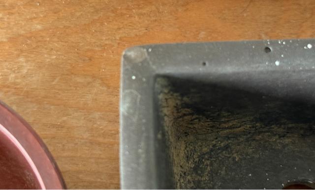 N 盆栽鉢 豆盆栽鉢 山野草鉢 多肉植物鉢 植木鉢 5鉢セット陶器製 落款印あり < ペット/手芸/園芸 N 盆栽鉢 豆盆栽鉢 山野草鉢 多肉植物鉢 植木鉢 5鉢セット陶器製 落款印あり < ペット/手芸/園芸の