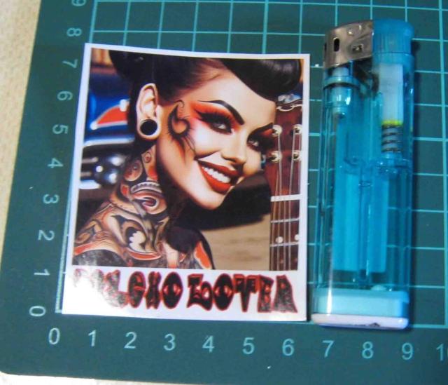 PSYCHOBILLY�@�T�C�R�r���[�E�K�[���@�@�X�e�b�J�[  �� �z�r�[�� 