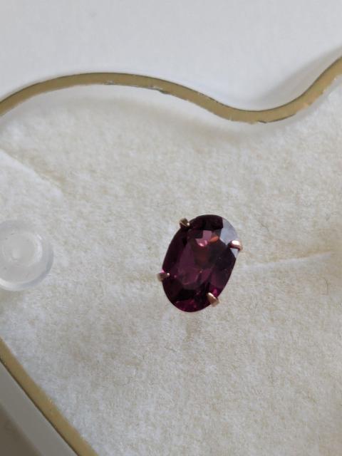 ���[�h���C�g�K�[�l�b�g�̃s�A�X�V�iK10�s���N�S�[���h