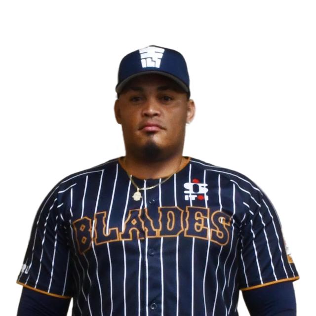 #95 �n�r�G���E�o�e�B�X�^�I�� 3rd���j�t�H�[���i���M�T�C������j  �� ���W���[/�X�|�[�c�� 