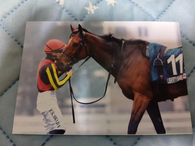 ���o�e�B�[�A�C�����h�ʐ^  �� ���W���[/�X�|�[�c�� 