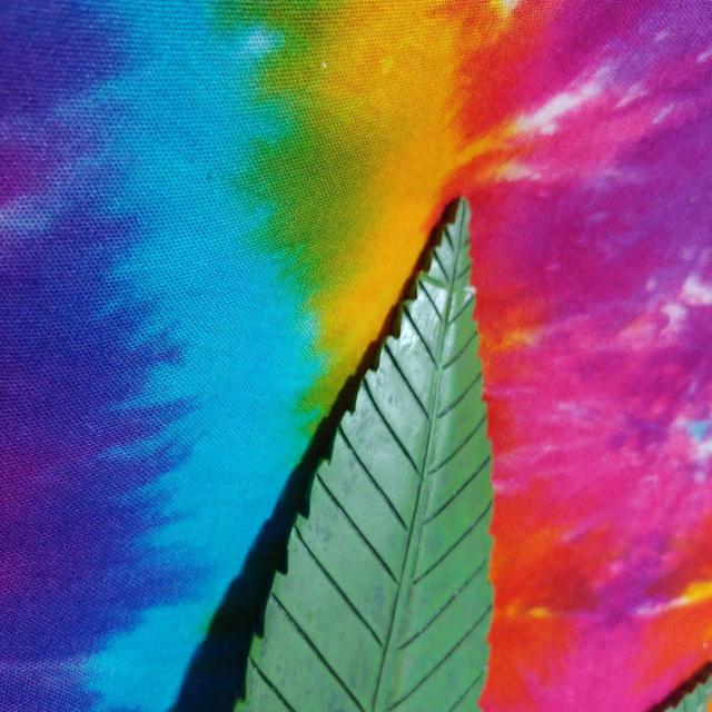 激レア(///∇///)ラスタマン□マリファナ大麻型□掛け時計□ < インテリア/ライフ  激レア(///∇///)ラスタマン□マリファナ大麻型□掛け時計□ < インテリア/ライフの