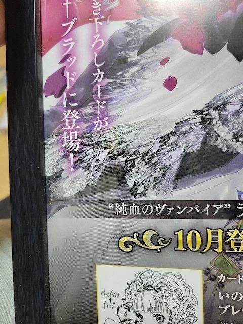 いのまたむつみ ヴァンパイアブラッド アートフレームポスター < ホビー いのまたむつみ ヴァンパイアブラッド アートフレームポスター < ホビーの