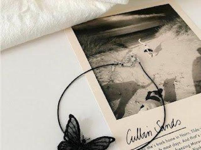 o^tC`[J[ X ANZT[ lbNX y_g  ANZT[/v 