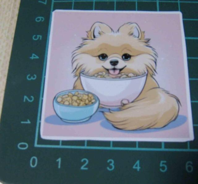 �|�����j�A���@�@ �X�e�b�J�[ �@�@�Q���Z�b�g �� �z�r�[�� 