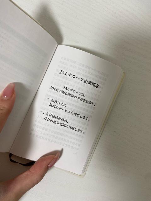 JAL�t�B���\�t�B�蒠 �� �z�r�[�� 