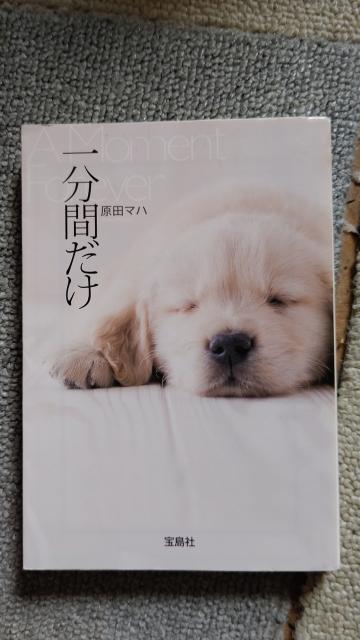☆一分間だけ 原田マハ < 本/雑誌  ☆一分間だけ 原田マハ < 本/雑誌の