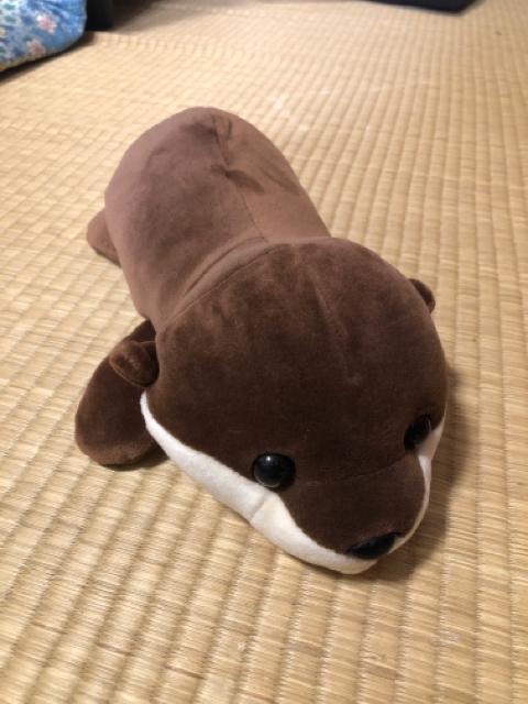 ハッピーマリン かわうそ ぬいぐるみ < おもちゃ  ハッピーマリン かわうそ ぬいぐるみ  < おもちゃの
