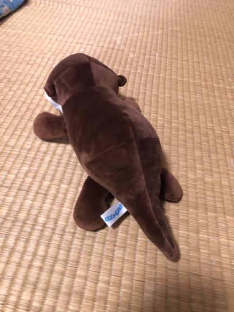ハッピーマリン かわうそ ぬいぐるみ < おもちゃ  ハッピーマリン かわうそ ぬいぐるみ < おもちゃの