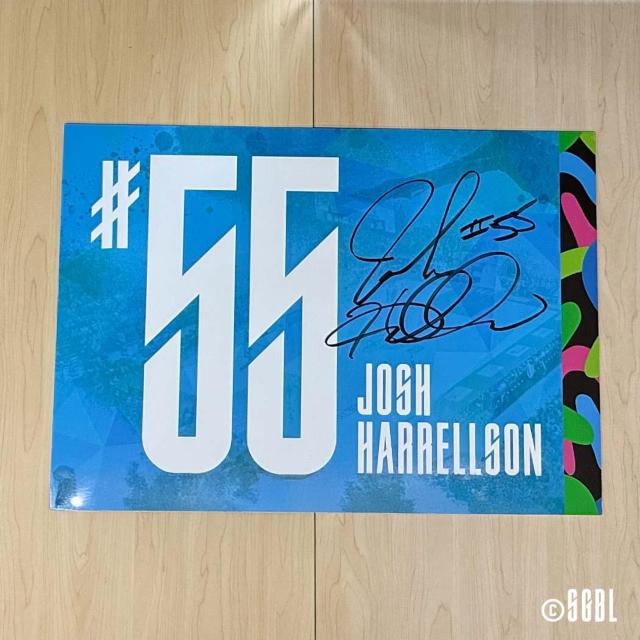 #55 WVEn\I MTC胍bJ[[pl 