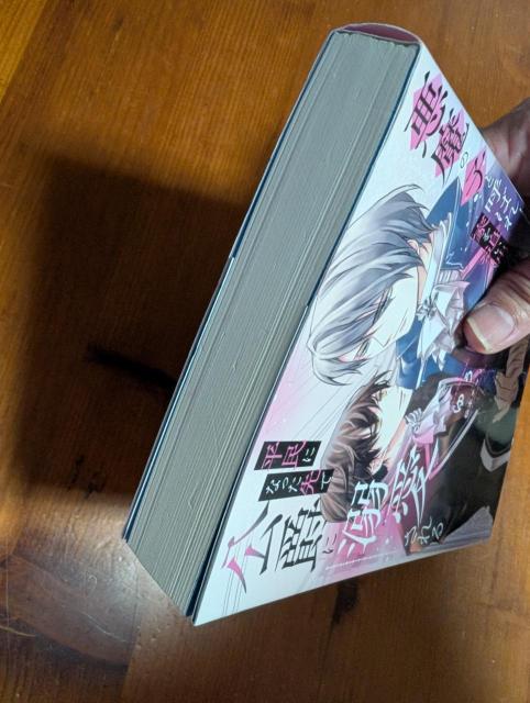 小説 BL 悪魔の子と呼ばれ家を追い出されたけど、平民になった先で公爵に溺愛される ゆう アンダルシュノベルズ < 本/雑誌 小説 BL 悪魔の子と呼ばれ家を追い出されたけど、平民になった先で公爵に溺愛される ゆう アンダルシュノベルズ < 本/雑誌の