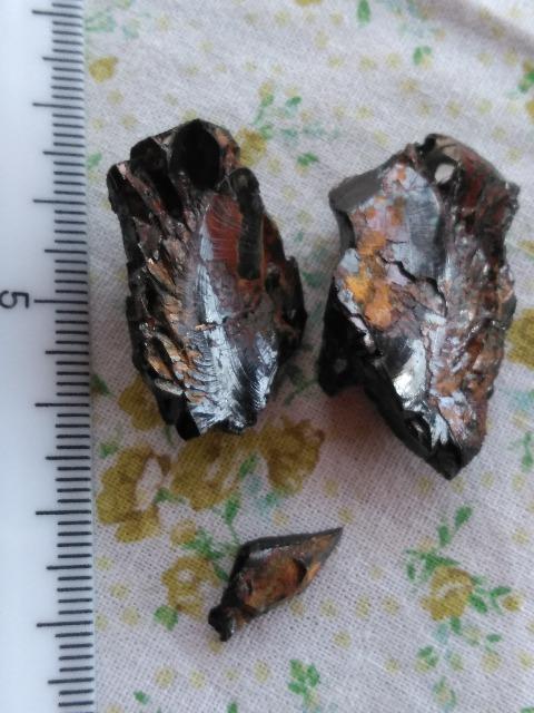 レア エリートシュンガイト 原石 欠片 < ホビー レア エリートシュンガイト 原石 欠片 < ホビーの