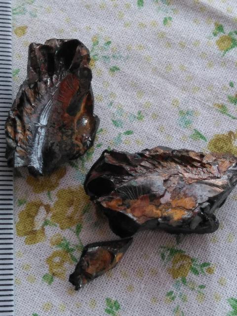 レア エリートシュンガイト 原石 欠片 < ホビー レア エリートシュンガイト 原石 欠片 < ホビーの