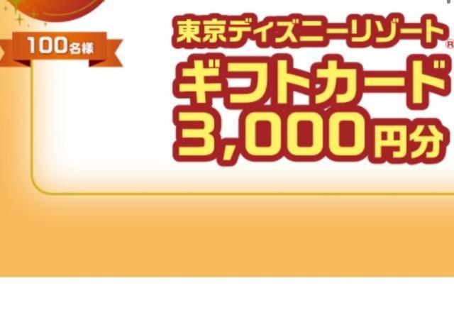 �Z���^�C�A�b�v���f�B�Y�j�[���]�[�g�M�t�g�J�[�h3000�~/100���l3�� �� �`�P�b�g/������ 