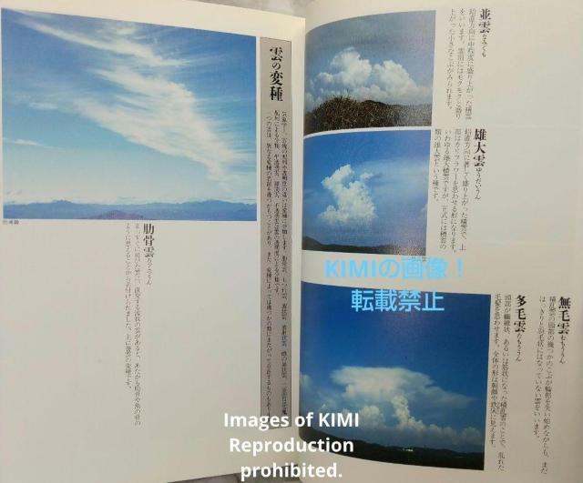 空の名前 単行本 1992/1/21 高橋 健司 光琳社出版 天候や季節300点の写真で綴る歳時記風天気図鑑 < 本/雑誌  空の名前 単行本 1992/1/21 高橋 健司 光琳社出版 天候や季節300点の写真で綴る歳時記風天気図鑑 < 本/雑誌の