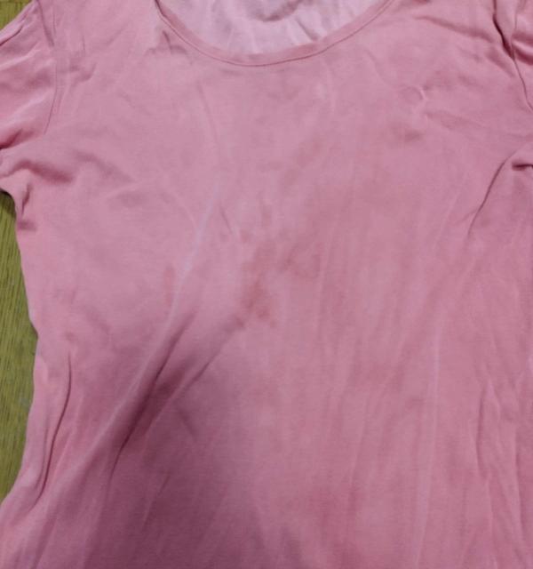 Premium Cotton M�T�C�Y �s���N����T�V���c �J�b�g�\�[ ���f�B�[�X �J�W���A�� �� �����t�@�b�V������ 