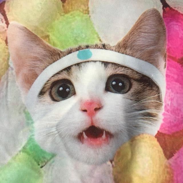 ACDCRAG~ȂߔLEJtLbg]ʕp[J[vI[o[  uh 