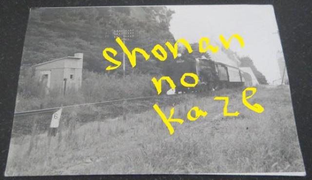 nh\@ubUQRVv̌̋MdȎʐ^   zr[ 