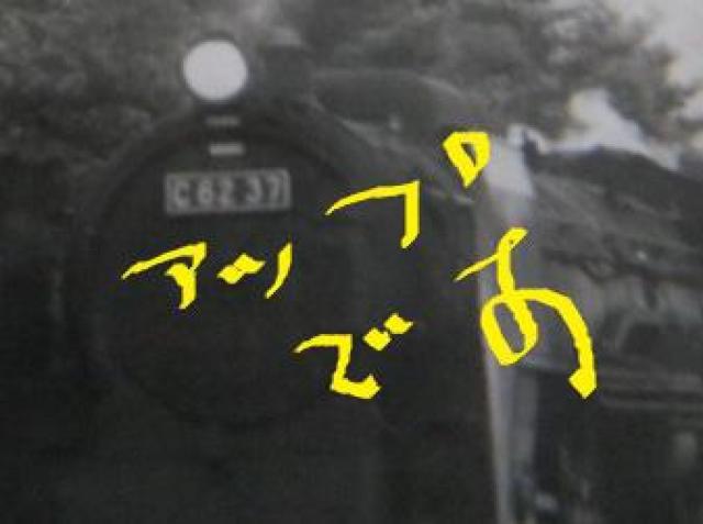 nh\@ubUQRVv̌̋MdȎʐ^  zr[ 