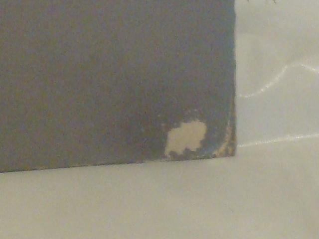 NX}X / VK[YEA~ebh@ѕtLP  CD/DVD/rfI 