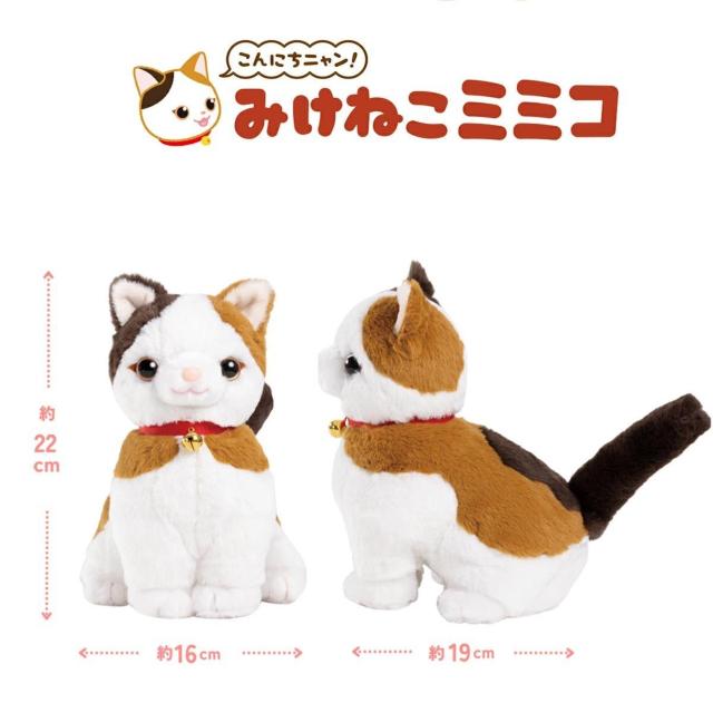  p[gi[Y ɂjI ݂˂~~R b {bg l` ׂ yyߋz yNz    