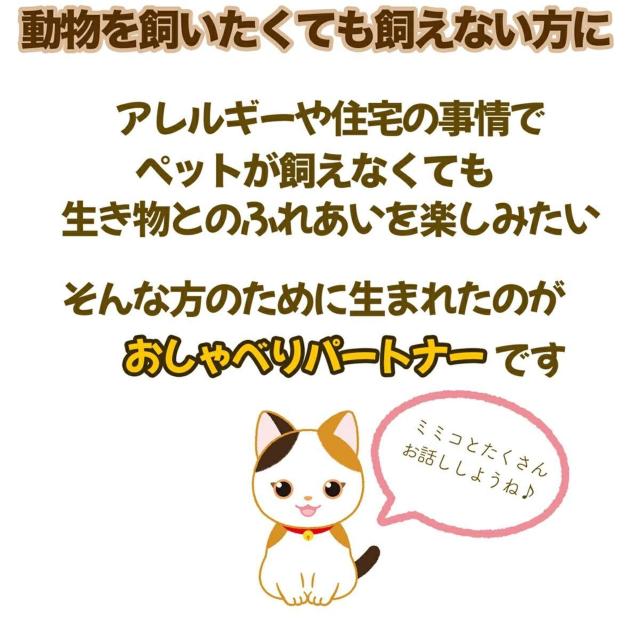  p[gi[Y ɂjI ݂˂~~R b {bg l` ׂ yyߋz yNz   