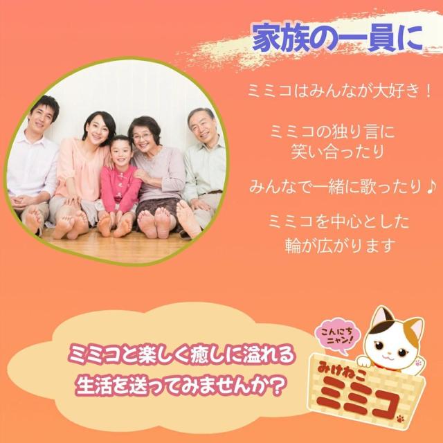  p[gi[Y ɂjI ݂˂~~R b {bg l` ׂ yyߋz yNz   