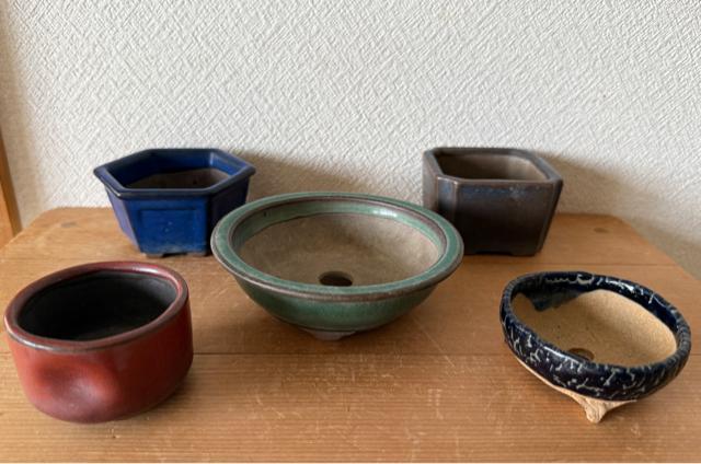 P 盆栽鉢 豆盆栽鉢 山野草鉢 多肉植物鉢 植木鉢 5鉢セット陶器製 落款印あり < ペット/手芸/園芸 P 盆栽鉢 豆盆栽鉢 山野草鉢 多肉植物鉢 植木鉢 5鉢セット陶器製 落款印あり < ペット/手芸/園芸の
