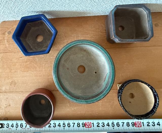 P 盆栽鉢 豆盆栽鉢 山野草鉢 多肉植物鉢 植木鉢 5鉢セット陶器製 落款印あり < ペット/手芸/園芸 P 盆栽鉢 豆盆栽鉢 山野草鉢 多肉植物鉢 植木鉢 5鉢セット陶器製 落款印あり < ペット/手芸/園芸の