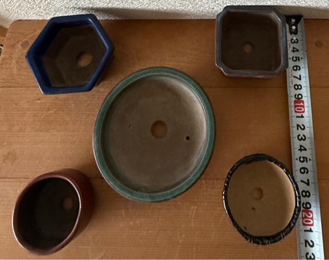 P 盆栽鉢 豆盆栽鉢 山野草鉢 多肉植物鉢 植木鉢 5鉢セット陶器製 落款印あり < ペット/手芸/園芸 P 盆栽鉢 豆盆栽鉢 山野草鉢 多肉植物鉢 植木鉢 5鉢セット陶器製 落款印あり < ペット/手芸/園芸の