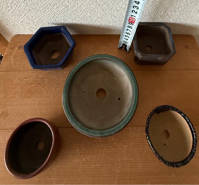 P 盆栽鉢 豆盆栽鉢 山野草鉢 多肉植物鉢 植木鉢 5鉢セット陶器製 落款印あり < ペット/手芸/園芸 P 盆栽鉢 豆盆栽鉢 山野草鉢 多肉植物鉢 植木鉢 5鉢セット陶器製 落款印あり < ペット/手芸/園芸の