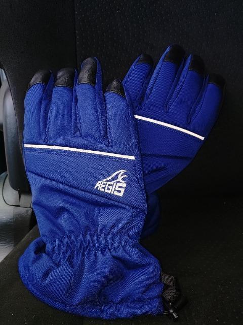 防寒手袋 AEGIS ワークマン 3M シンサレート 美品 スキー スノボ アウトドア キャンプ 軽登山 < 男性ファッション 防寒手袋 AEGIS ワークマン 3M シンサレート 美品 スキー スノボ アウトドア キャンプ 軽登山 < 男性ファッションの