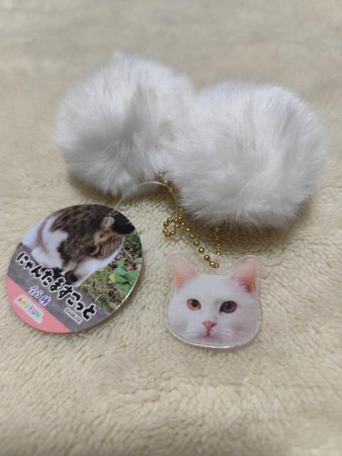 にゃんたますこっと キーホルダー シロ 白 プライズ品 < 女性ファッション にゃんたますこっと キーホルダー シロ 白 プライズ品 < 女性ファッションの