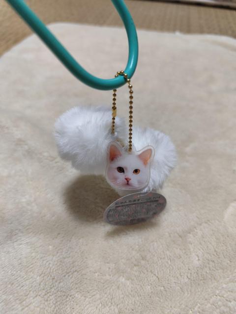 にゃんたますこっと キーホルダー シロ 白 プライズ品 < 女性ファッション にゃんたますこっと キーホルダー シロ 白 プライズ品 < 女性ファッションの