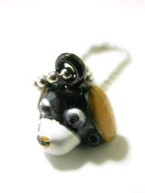 [*mxeBc{[`F[L[z_[<ubN>  zr[ 