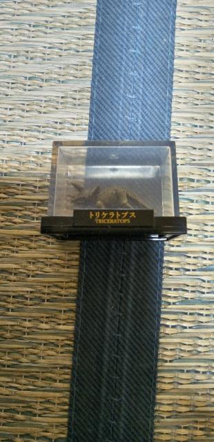 トリケラトプス ミニチュアフィギュア < ホビー トリケラトプス ミニチュアフィギュア < ホビーの