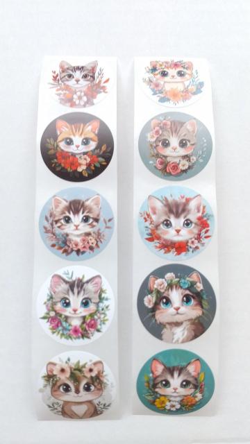 �L�����Ɖԁ@�����@�V�[���@�P�O�� �� �C���e���A/���C�t�� 