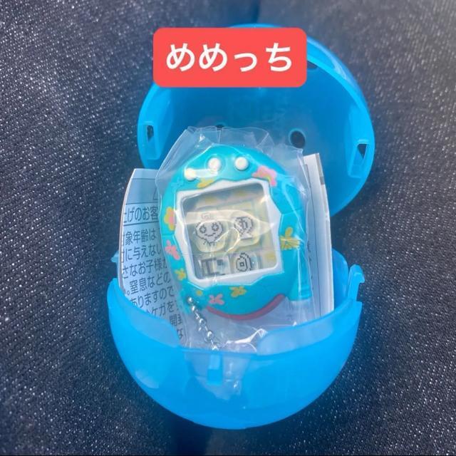 ���܂������@�V���J�V���J�`���[���@�K�`��  �� �z�r�[�� 