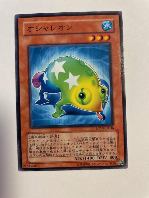 遊戯王【水・オシャレオン】 < トレーディングカード  遊戯王【水・オシャレオン】 < トレーディングカードの